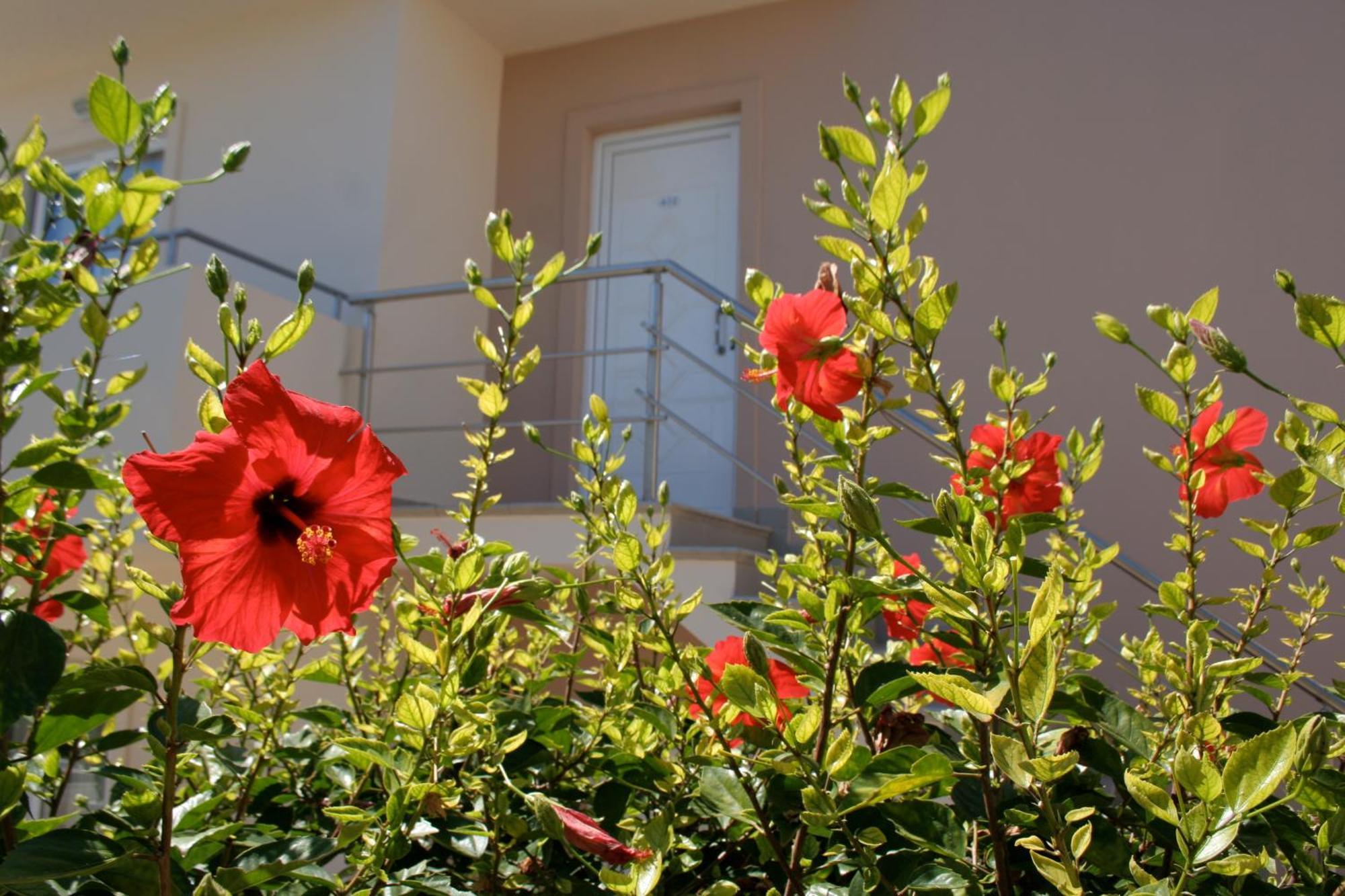 Amaryllis Front Beach Hotel Lardos Luaran gambar