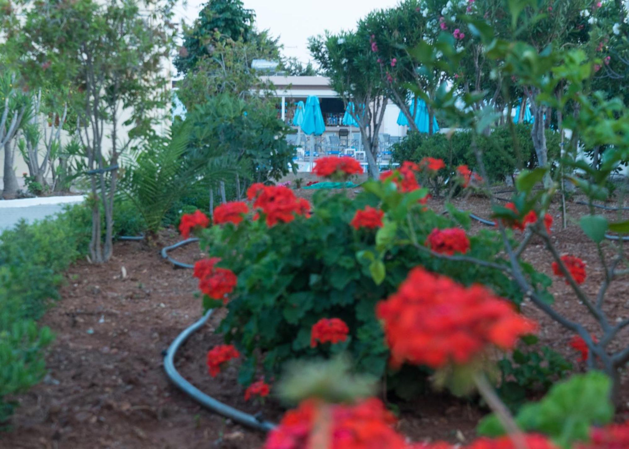 Amaryllis Front Beach Hotel Lardos Luaran gambar